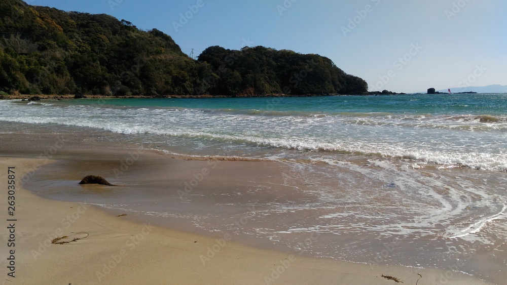 Obraz premium 下田の海岸