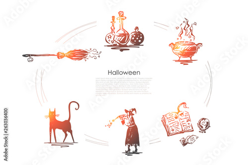 Halloween - black cat, witch, poison, potion, broom, spell vector concept set photo