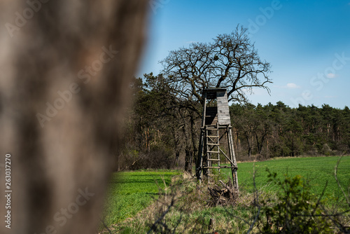 Fototapeta Naklejka Na Ścianę i Meble -  pułapka- myślistwo