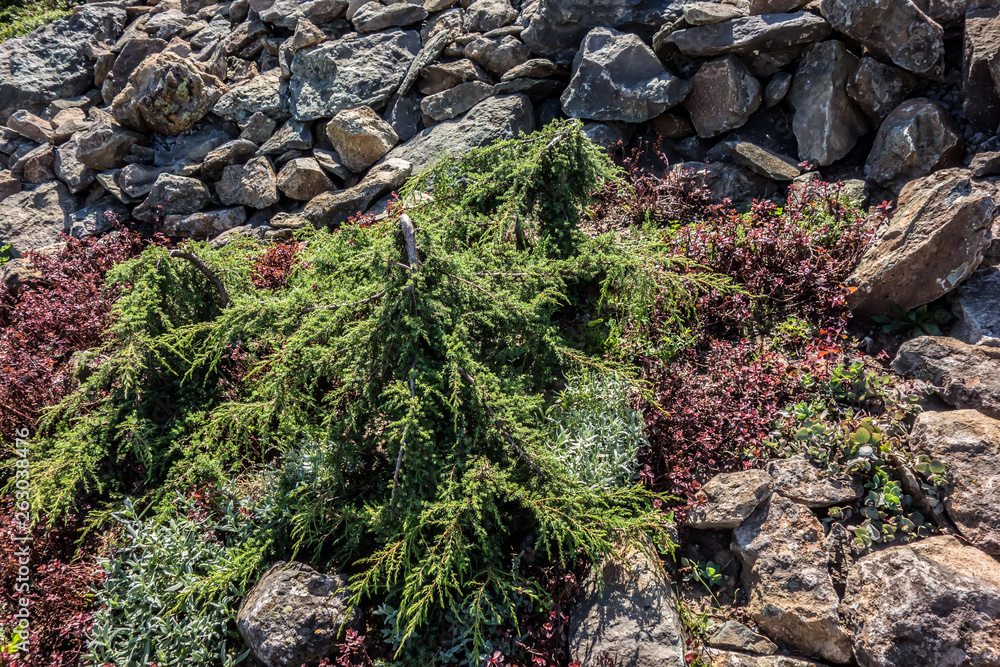 Obraz premium Patterns in nature. Tundra landscape