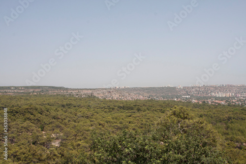 aerial view of the city