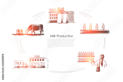 Milk production - cow in field, milk factory, store, delivery, purchase vector concept set