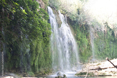 waterfall in forest