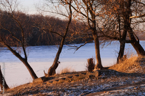 Frost river with snowand naked trees. Winter sunset in warm brown colors  photo