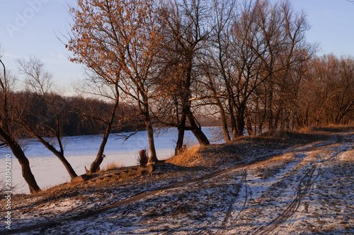 Frost river with snowand naked trees. Winter sunset in warm brown colors  photo