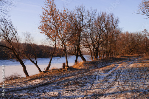 Frost river with snowand naked trees. Winter sunset in warm brown colors  photo