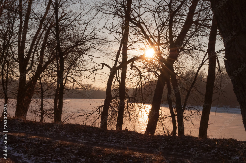 Fototapeta premium Frost river with snowand naked trees. Winter sunset in warm brown colors 