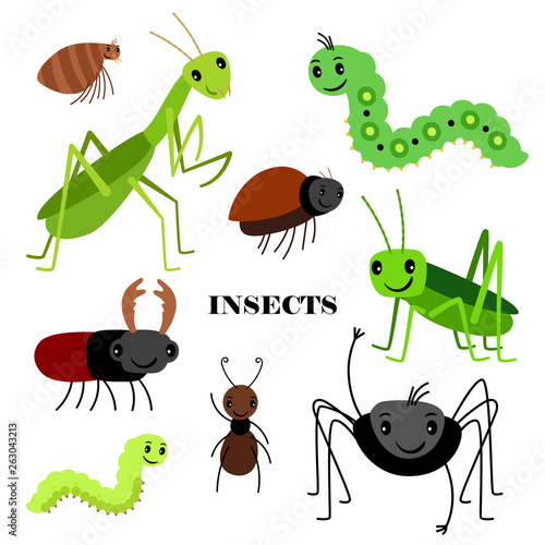 Illustration of vector crawling insects isolated on white background. Insect bug, fauna wildlife, cartoon crawl insects illustration