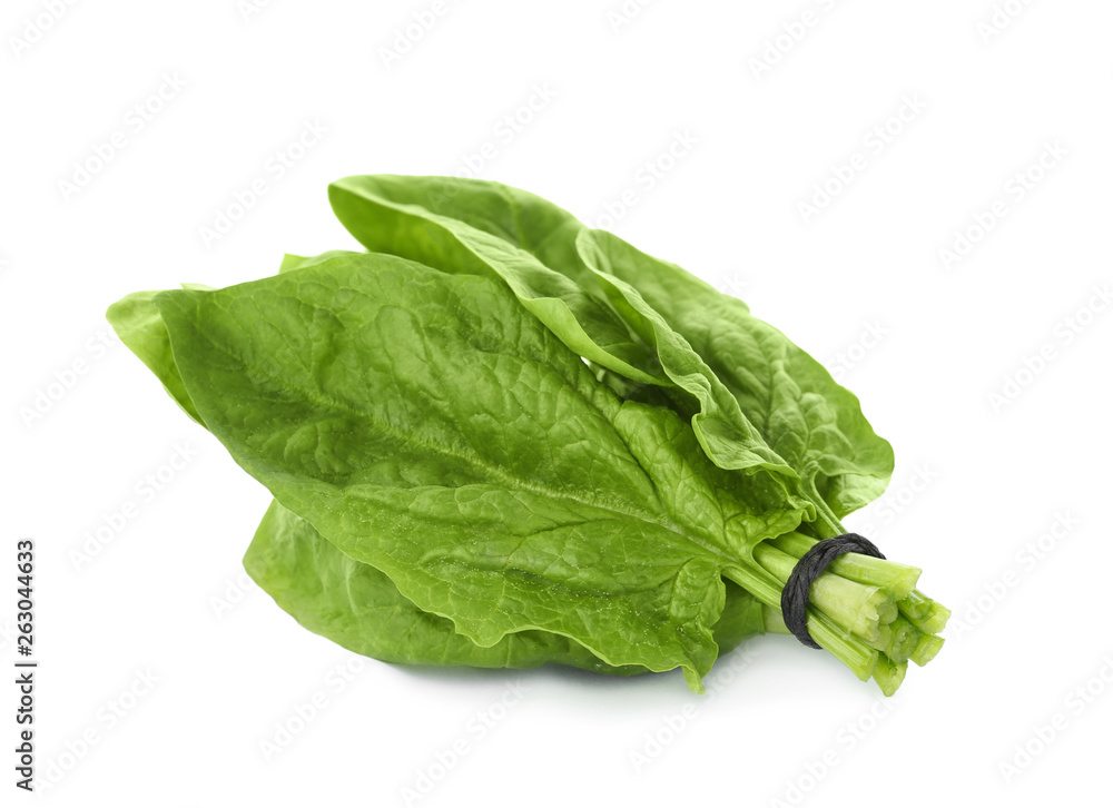 Bundle of fresh spinach isolated on white Bundle of fresh spinach isolated on white