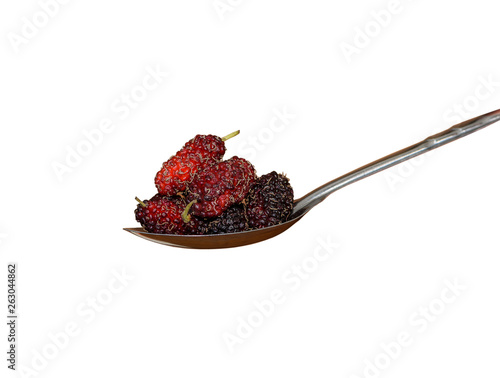 hand holding Stainless steel spoon and many pile of Mulberry friut in spoon islated