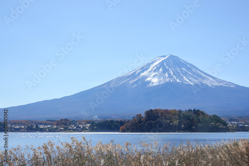 Autumn Season Fuji  Mountain at Kawaguchiko lake  Japan.
