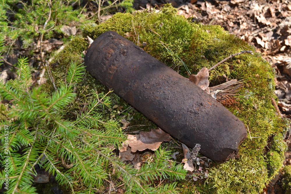 Concept of danger: old whizbang, artillery rusty whizzbang high explosive of the Second World War in thicket forest of Belarus Concept of danger: old whizbang, artillery rusty whizzbang high explosive of the Second World War in thicket forest of Belarus