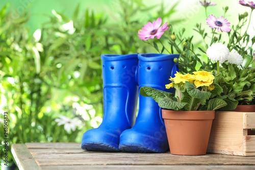 Potted blooming flowers and gumboots on wooden table, space for text. Home gardening