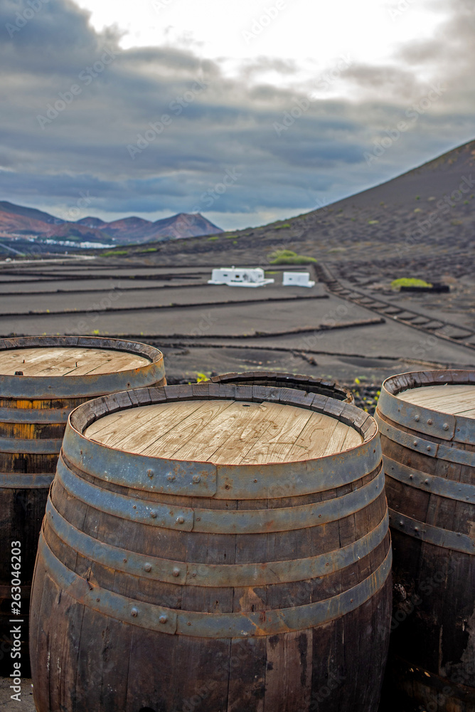 I vigneti di una azienda vinicola a La Geria, Lanzarote, Isole Canarie che produce vino vulcanico