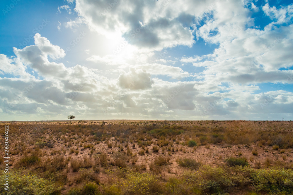 Dry and flat bush landscape in Australia close to Exmouth in late afternoon