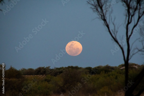 Moon rising over the horizon in Exmouth Australia during blue hour