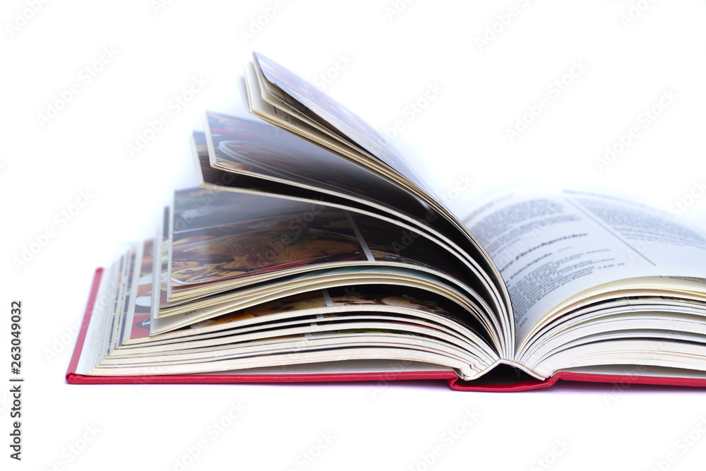 Fototapeta premium Book isolated on white background.