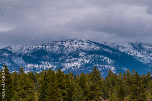 Snow covered mountain with evergreen forest