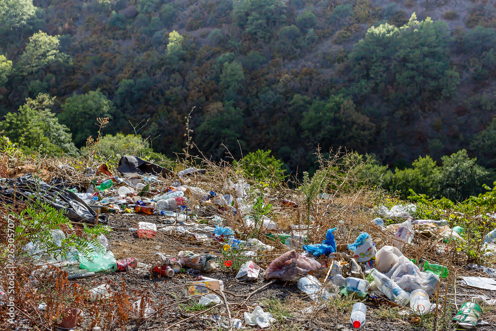 Plastic bottles, bags and other trash along the road. Trash at roadside. Concept of environmental pollution Plastic bottles, bags and other trash along the road. Trash at roadside. Concept of environmental pollution