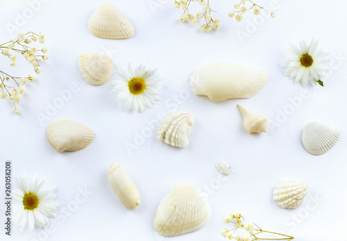 White on white overhead image of seashells and flowers scattered on a white background. Flat lay. Nice background image for summer wedding.