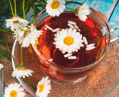 cup of tea with chamomile flowers