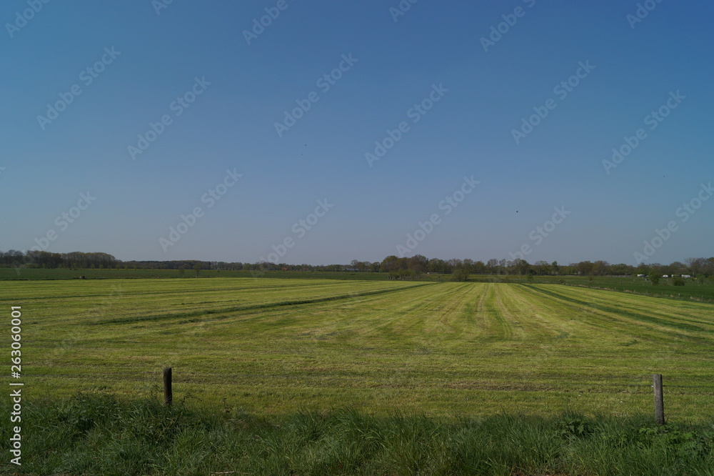 landscape with green field and blue sky