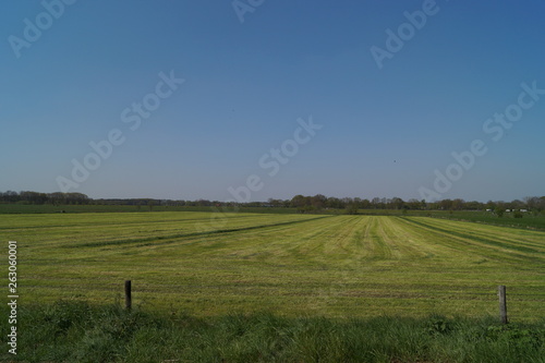 landscape with green field and blue sky