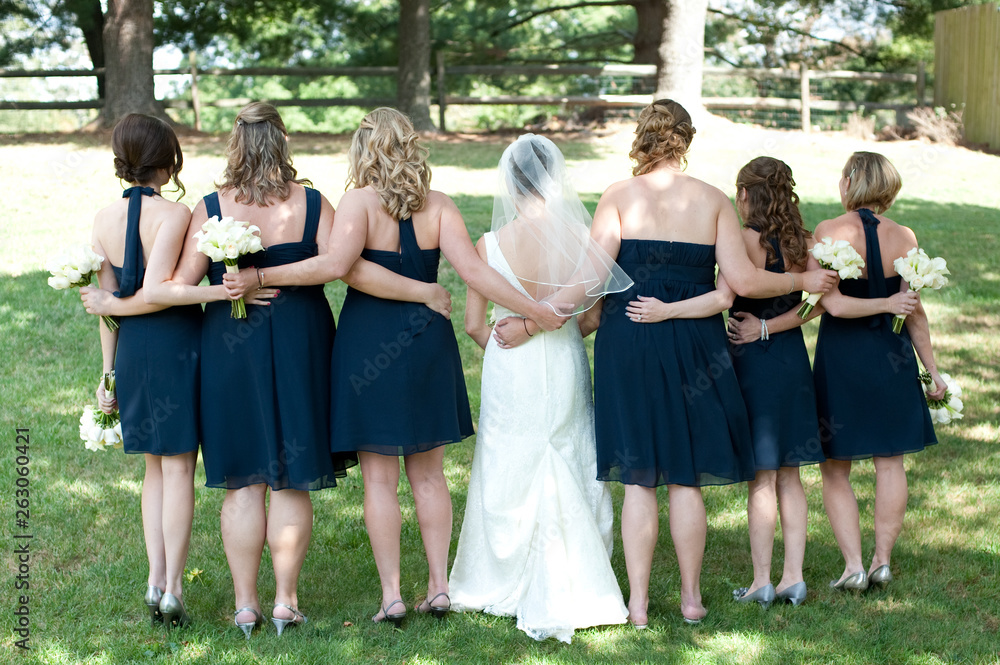 Bride with Bridesmaids from behind Bride with Bridesmaids from behind