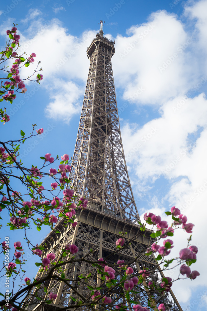 Eiffel tower in sring