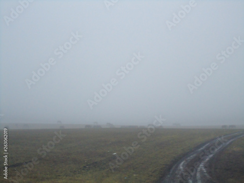 road in the field goes into the fog