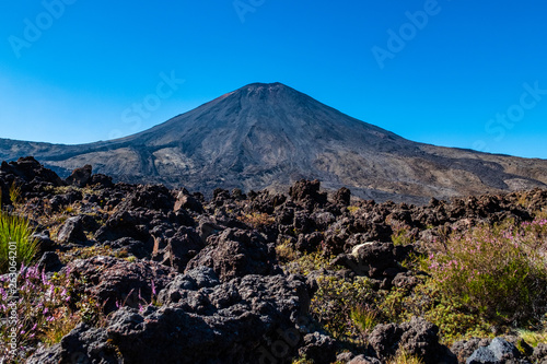 Beautiful Landscape view of Tongariro Crossing track on a beautiful day with blue sky  North Island  New Zealand.