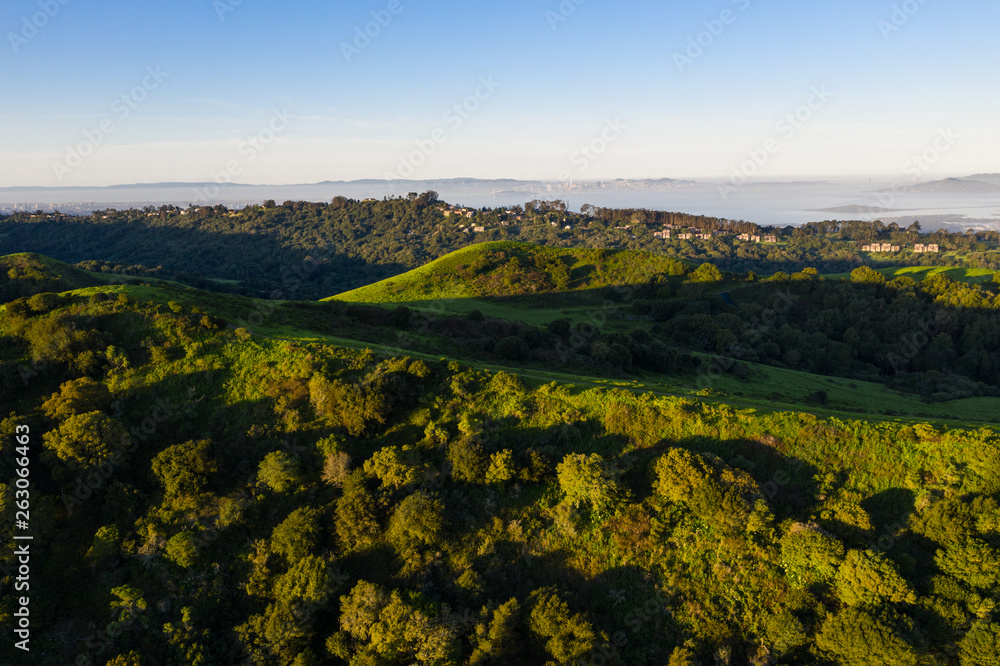 Morning light illuminates the hills surrounding San Francisco Bay. A wet winter has caused lush vegetation growth in the East Bay hills near Oakland and Berkeley. 