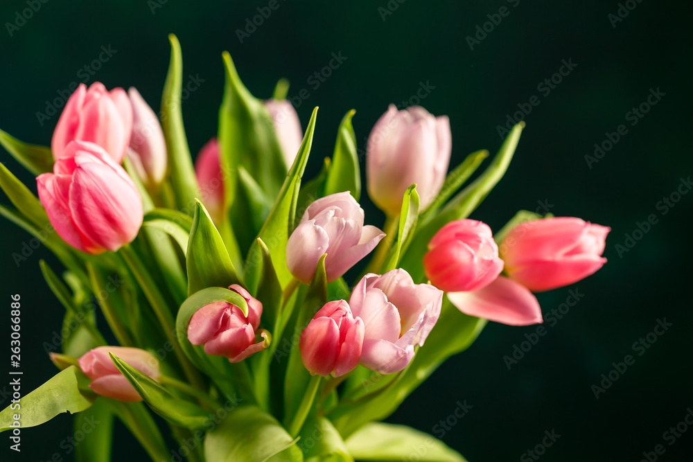 Obraz premium Bouquet of pink tulips