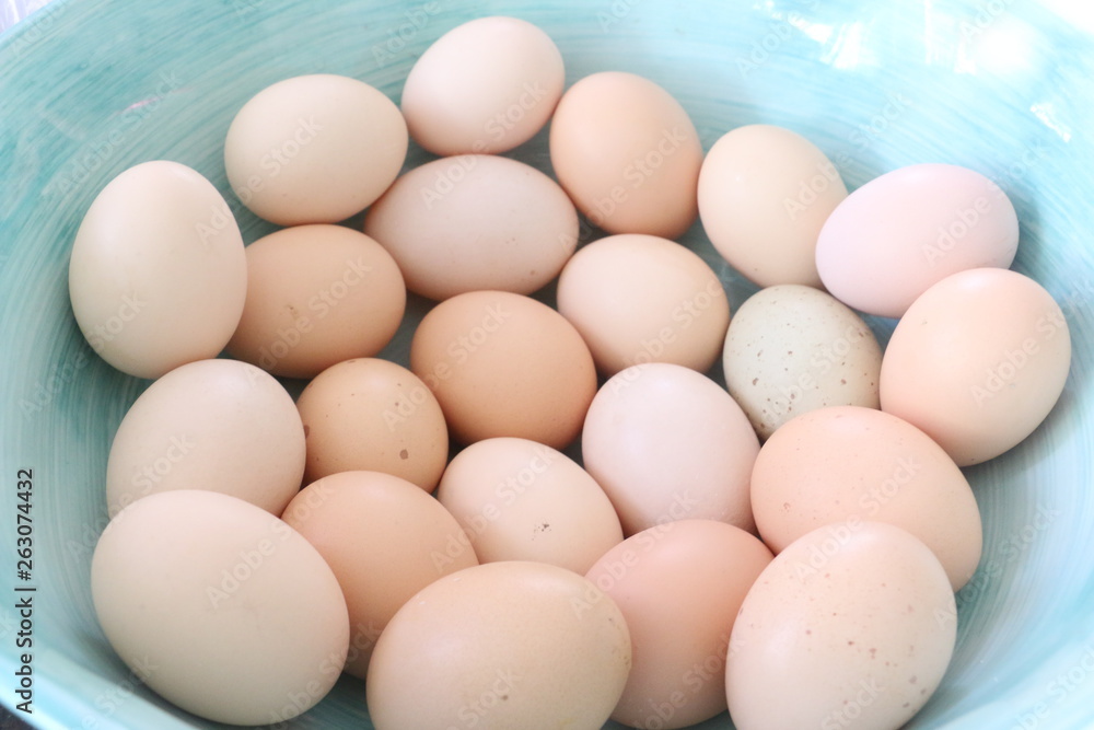 fresh eggs fresh eggs