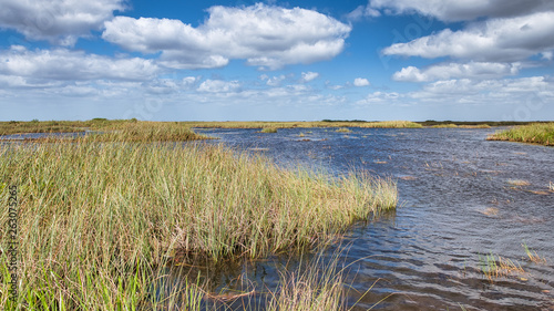 Swamps of Florida Everglades on a beautiful sunny day