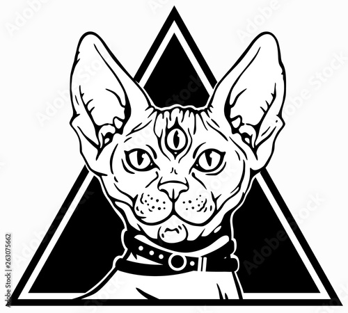 Magic Sphynx with three eyes