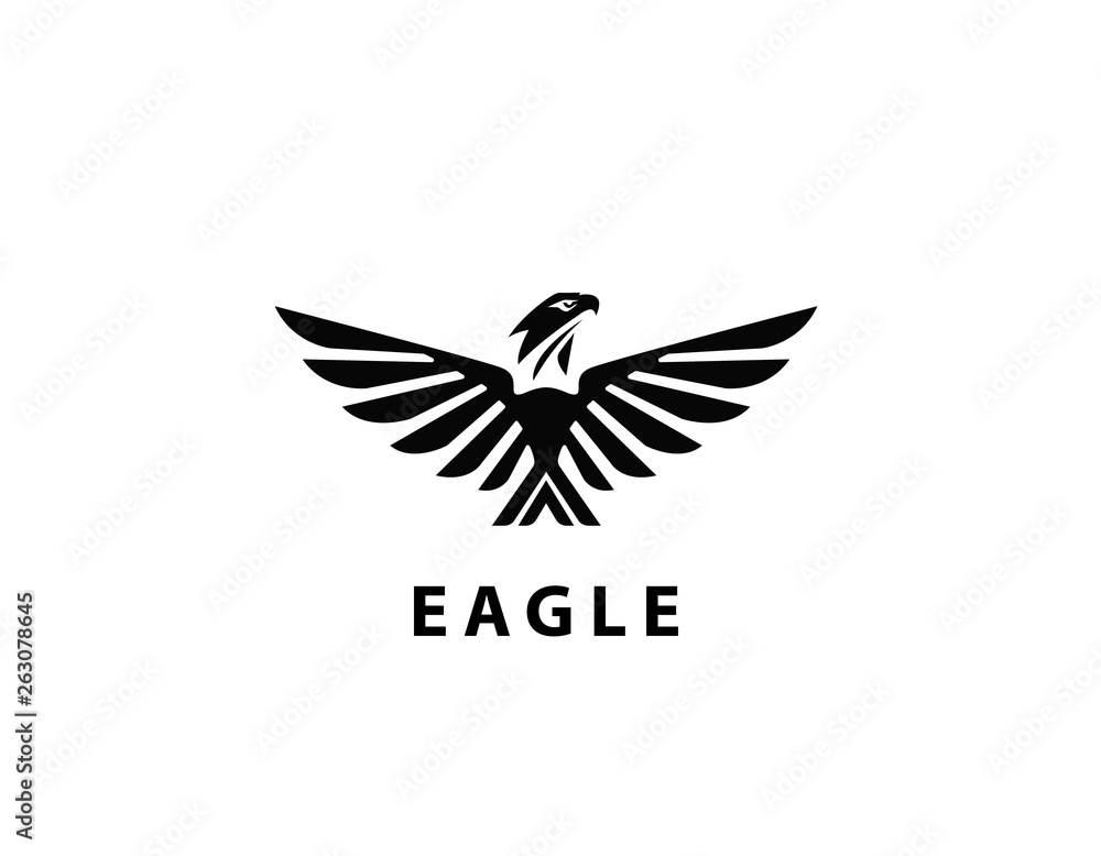 Fototapeta premium Eagle wings design logo