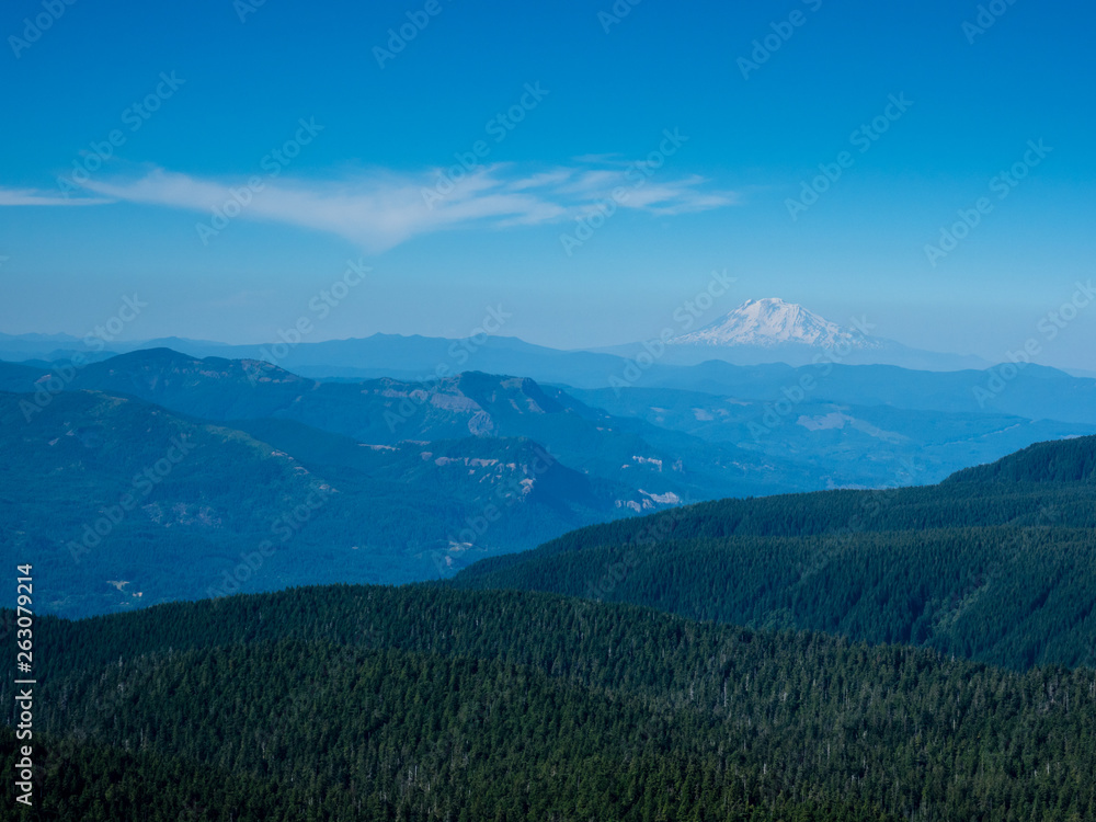 Fototapeta premium Panoramic view from Sherrard Point on Larch Mountain - Columbia River Gorge, Oregon