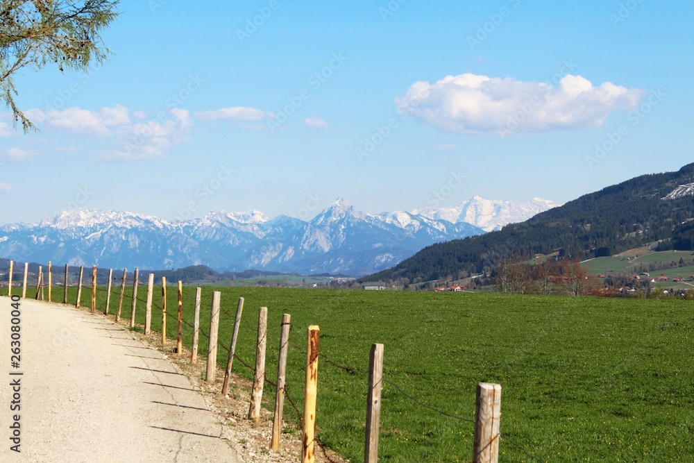 Wanderweg im Voralpenland, Berge im Hintergrund, Allgäu, Bayern