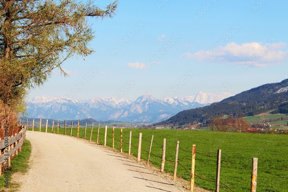 Wanderweg im Voralpenland, Berge im Hintergrund, Allgäu, Bayern