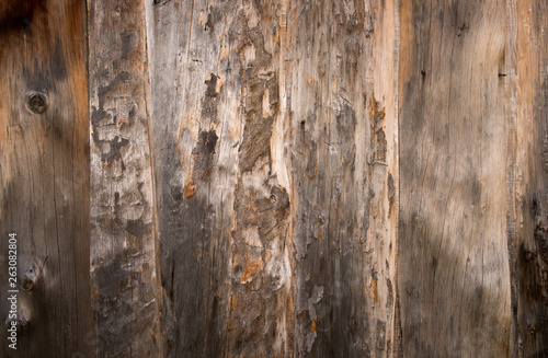 The Texture of old wood boards