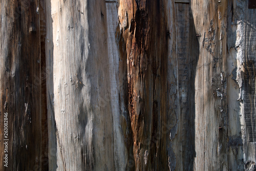 The Texture of old wood boards