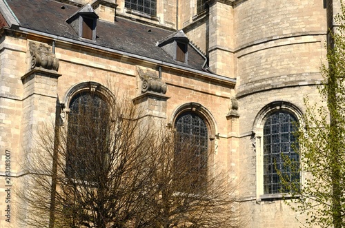 Église abbatiale SintServaas de Grimbergen (Brabant flamand- Belgique) photo