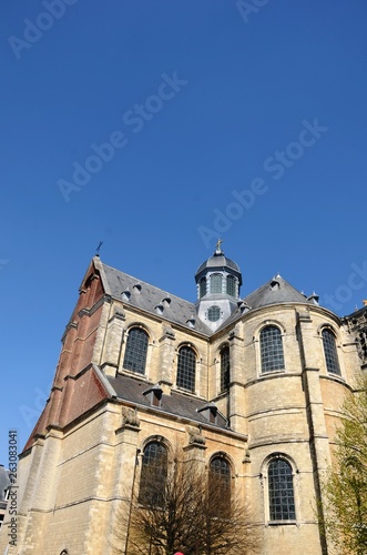 Église abbatiale SintServaas de Grimbergen (Brabant flamand- Belgique)
