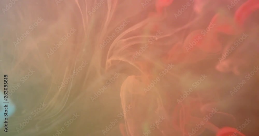 Colourful Red Green Blue RGB Paint Threads and Drops Mixing in Water. Ink swirling. Underwater 4K Macro Shot. Colourful Red Green Blue RGB Paint Threads and Drops Mixing in Water. Ink swirling. Underwater 4K Macro Shot.