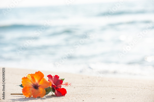 砂浜とハイビスカス