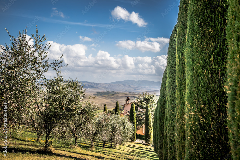 Obraz premium Beautiful Tuscany landscape 