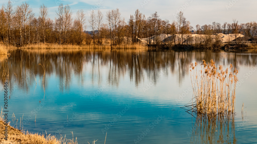 Beautiful reflections at a pond near Mamming-Bavaria-Germany Beautiful reflections at a pond near Mamming-Bavaria-Germany