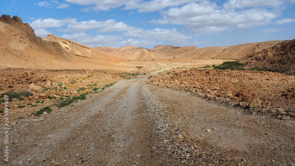 Road in the Negev Desert