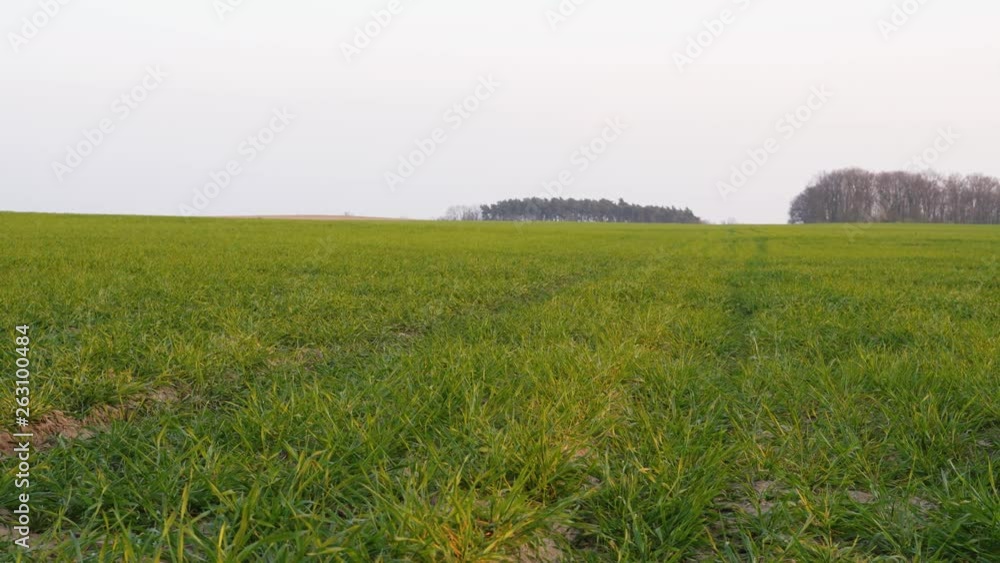Cultivated field at the beginning of spring. Europe. Slide right to left Cultivated field at the beginning of spring. Europe. Slide right to left